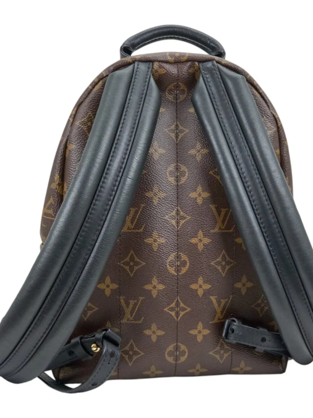 Louis Vuitton Palm Spring Monogram Bacpack